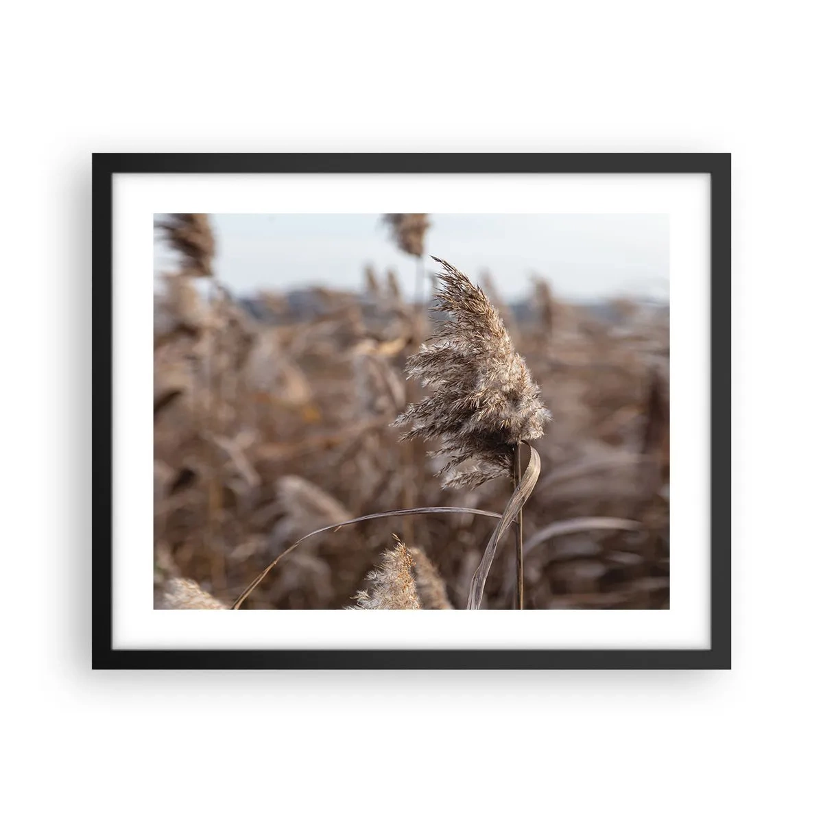 Pôster com moldura preta - É hora de voar com o vento - 50x40 cm