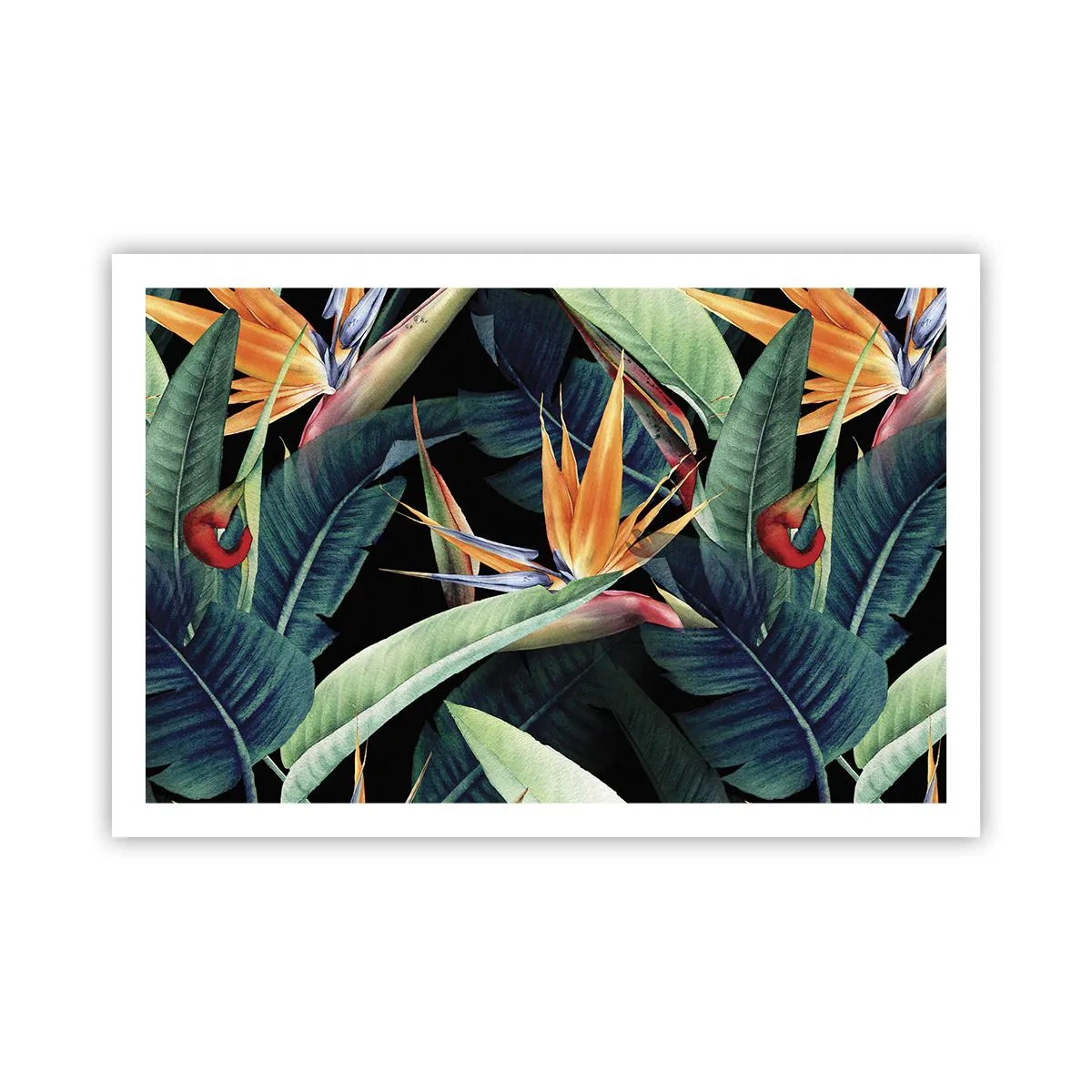 Pôster - Flores ardentes dos trópicos - 91x61 cm