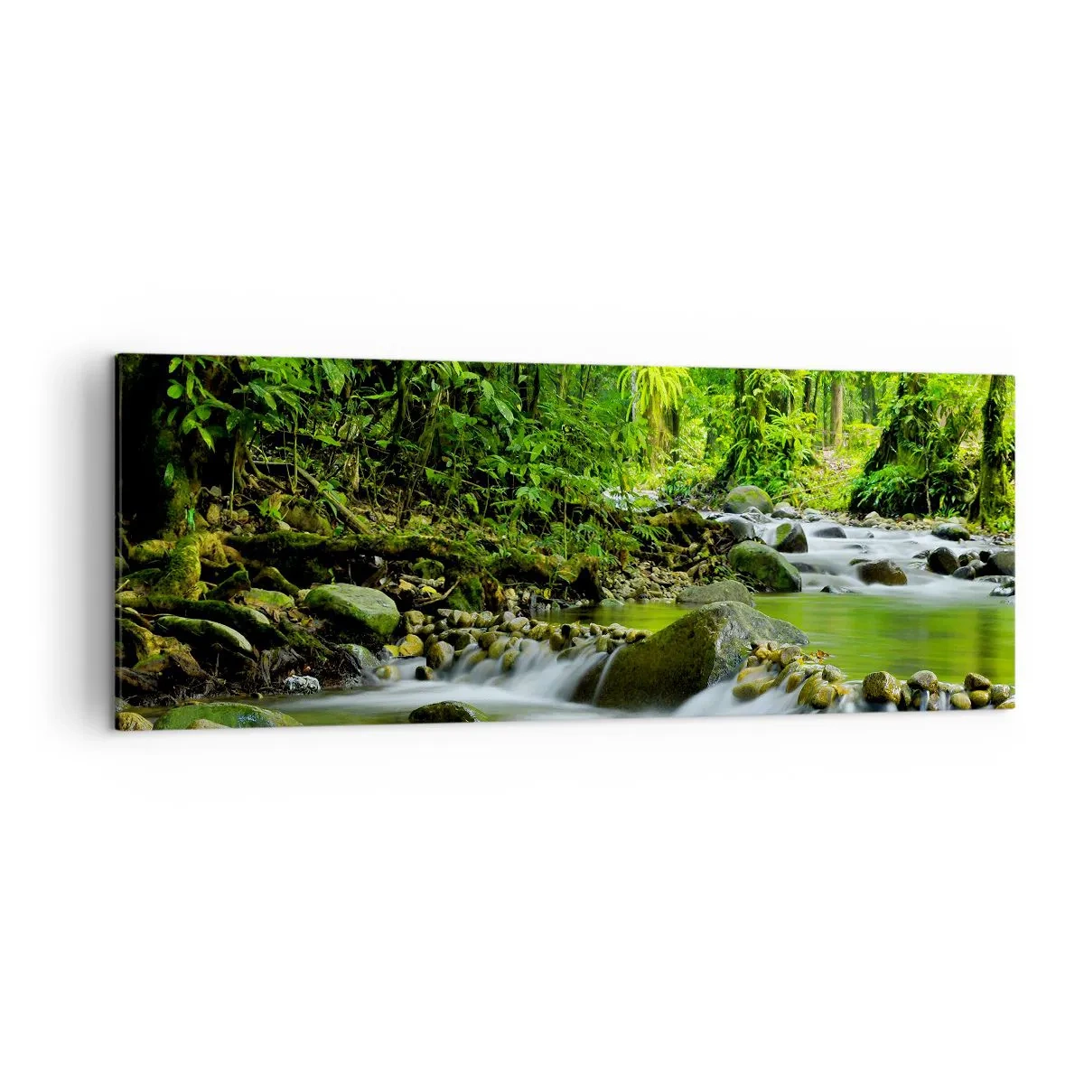 Quadro em tela - Navegar no mar de vegetação - 140x50 cm