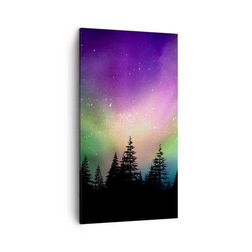 Quadro em tela - Magia branca - 45x80 cm