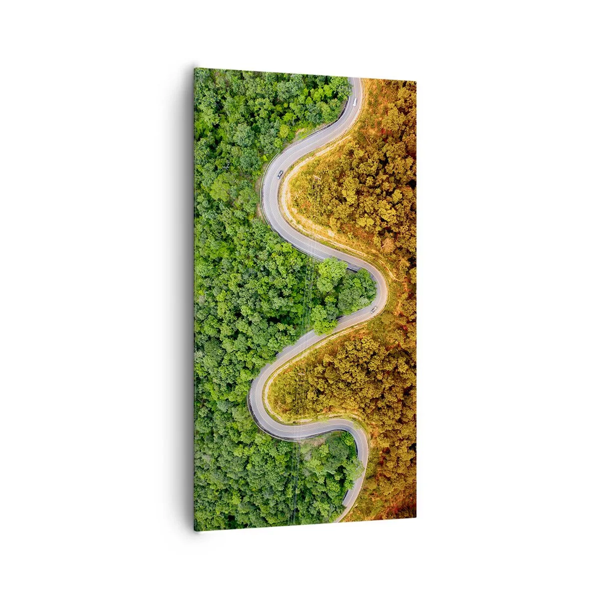 Quadro em tela - Fronteiras e descobertas - 65x120 cm