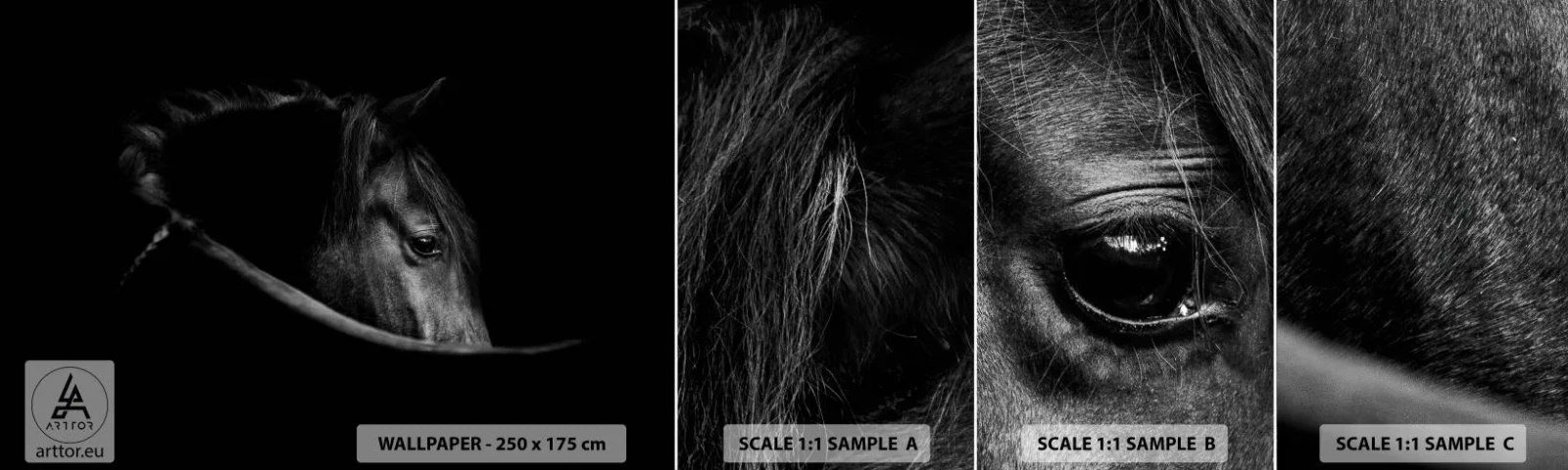 Amostra de papel de parede autocolante Deluxe Sticker - Príncipe Negro - Cavalo, Animal, Artístico - 100x30 cm