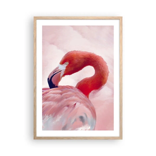 Pôster com moldura de carvalho claro - Beleza das aves - 50x70 cm