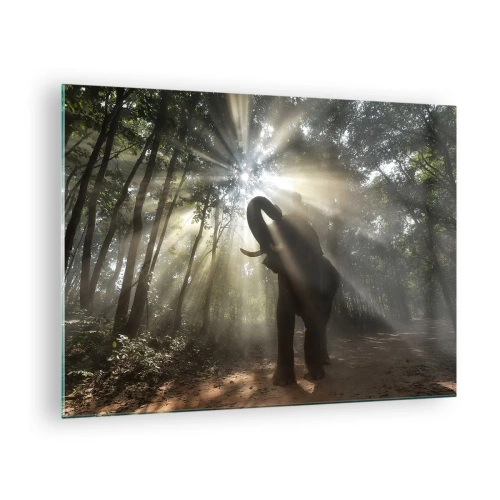 Quadro em vidro - Um elefante em uma floresta iluminada pela luz do sol - 70x50cm - Sob a estrela da sorte - Decoração de parede moderna para a sala de estar e quarto ARTTOR