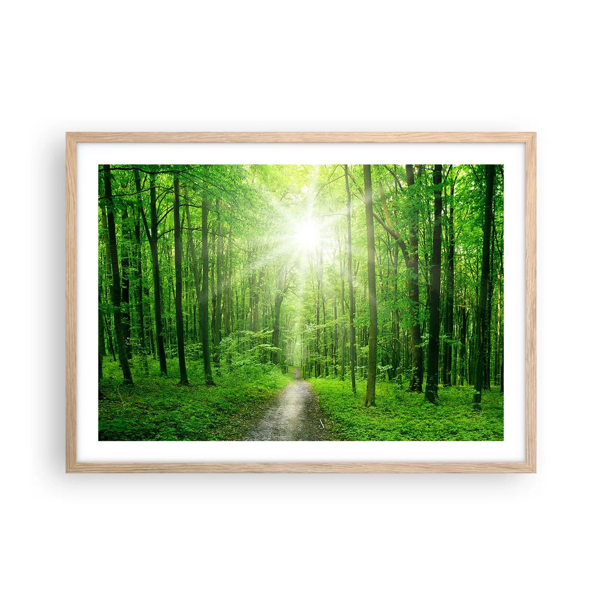 Pôster com moldura de carvalho claro - Catedral Verde - 70x50 cm