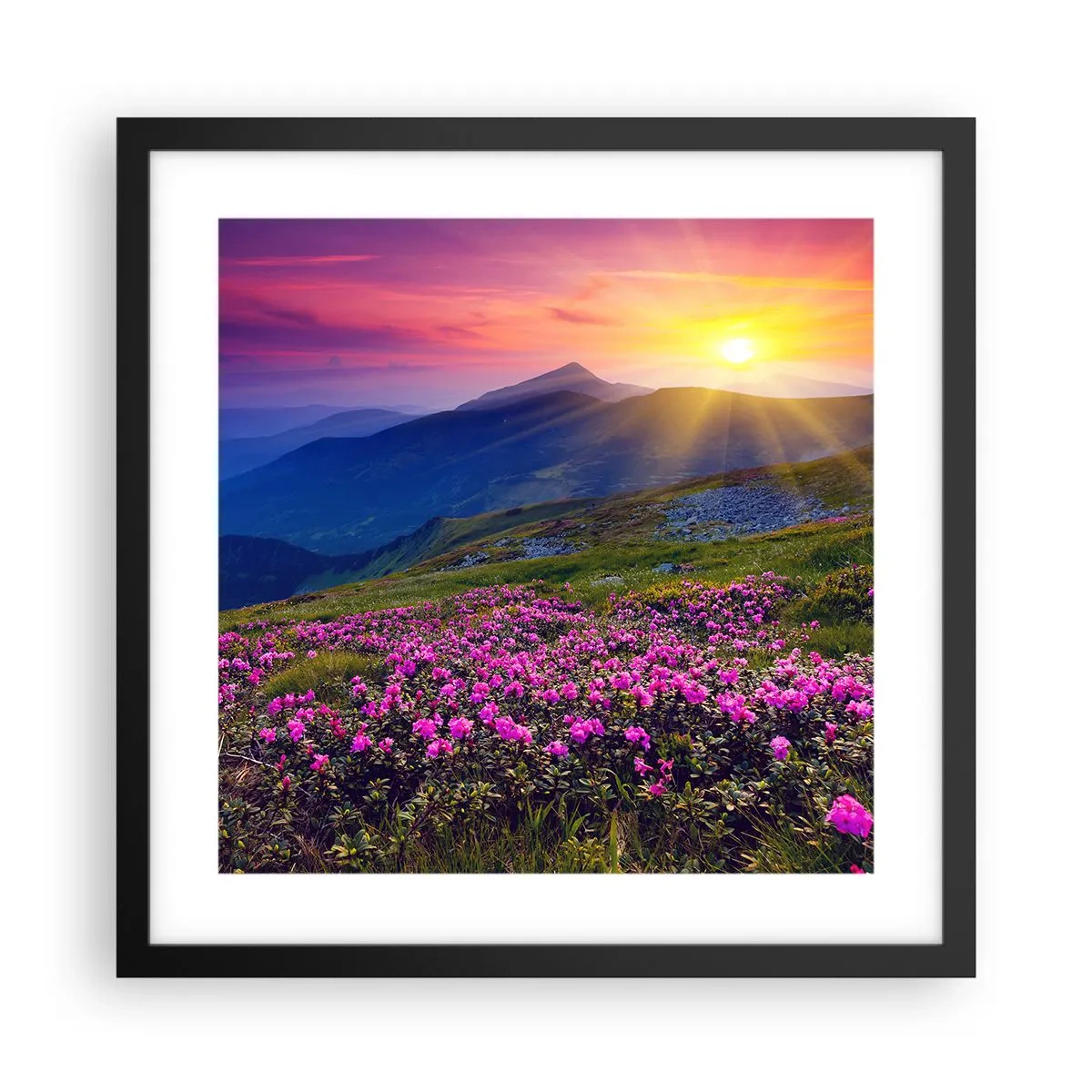 Pôster com moldura preta - …Cheiro de pinheiros e ervas da montanha - 40x40 cm