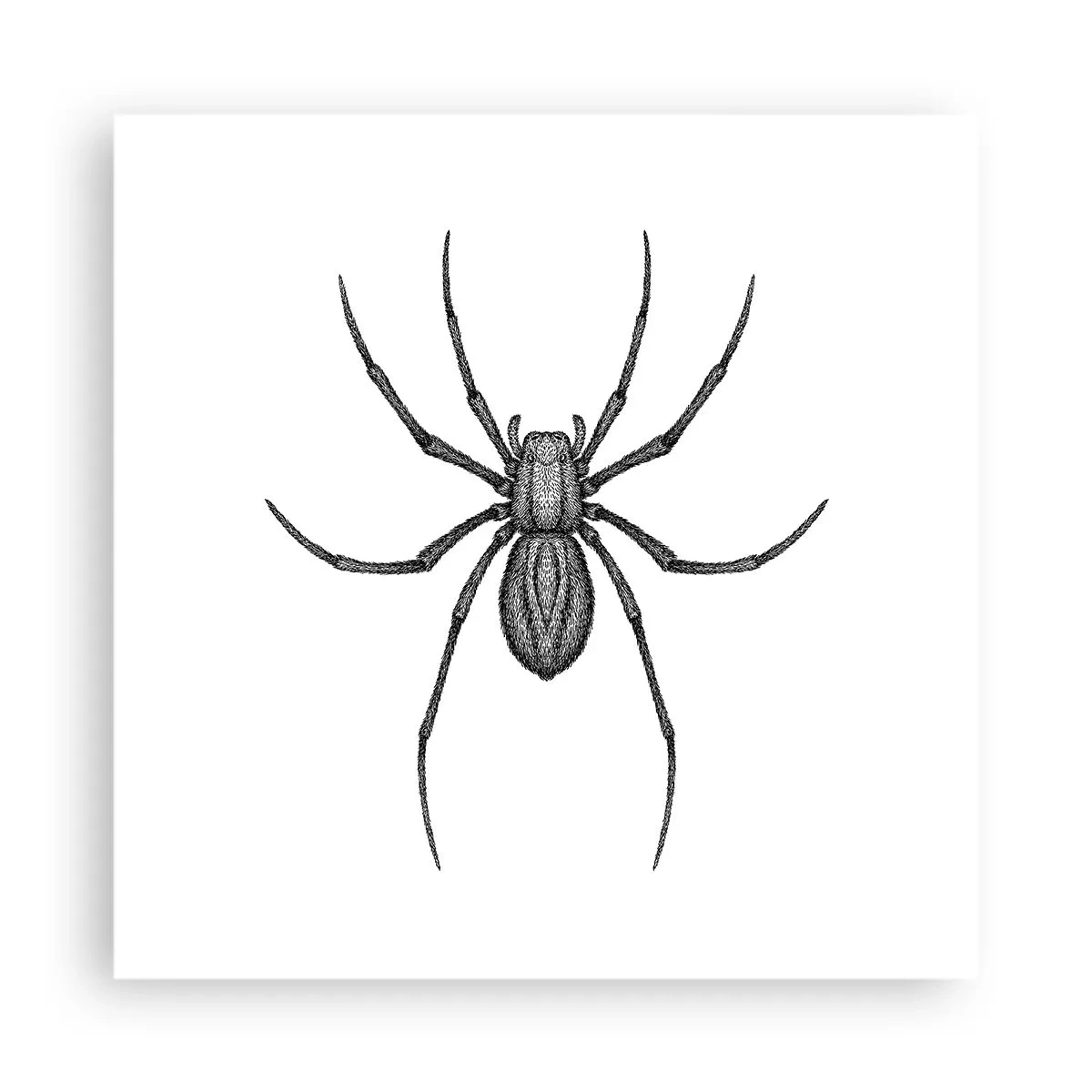 Pôster - Precisão perturbadora - 40x40 cm