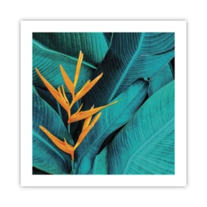 Pôster - Flor do Éden - 50x50 cm