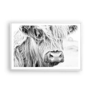 Pôster em moldura branca - Natureza selvagem escocesa - 91x61 cm