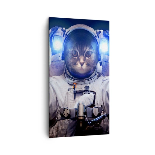 Quadro em tela - Houston, temos um problema - 45x80 cm