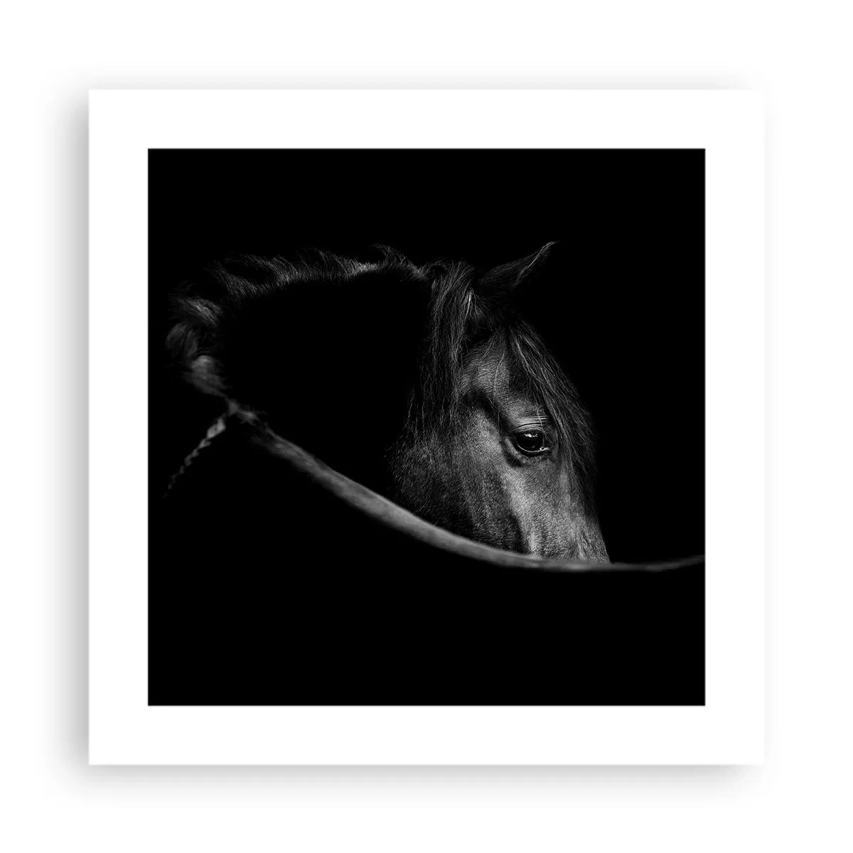 Pôster - Príncipe Negro - 40x40 cm