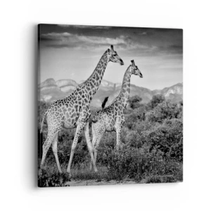 Quadro em tela - Alta Sociedade na África - 40x40 cm