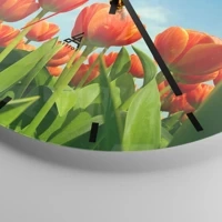 Mostrador com traços