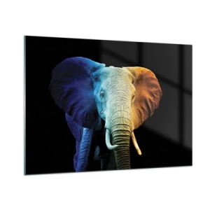 Quadro em vidro - Excêntrico, não esquisito - 100x70 cm