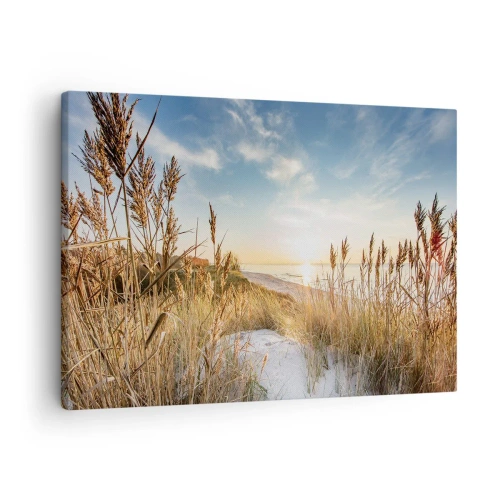 Quadro em tela - Uma praia pitoresca com grama e o pôr do sol - 70x50cm - Praia do Norte - Decoração de parede moderna para a sala de estar e quarto ARTTOR