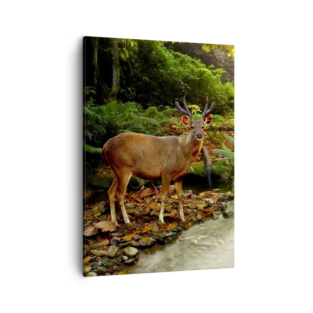 Quadro em tela - Bem-vindo ao meu mundo - 50x70 cm