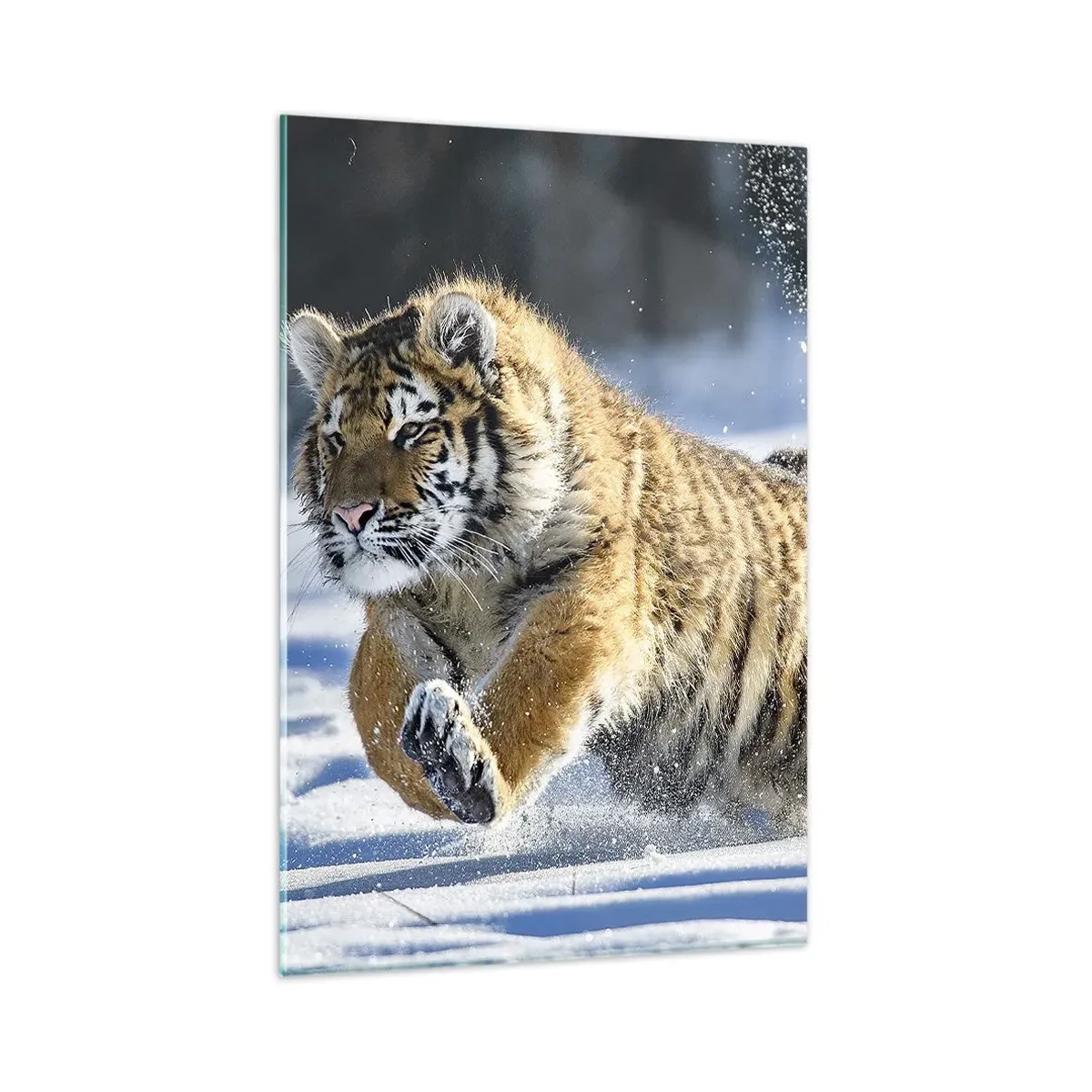 Quadro em vidro - O deus da taiga siberiana - 80x120 cm