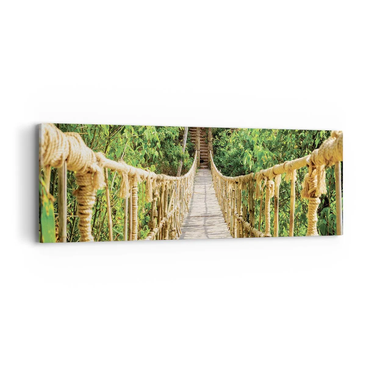 Quadro em tela - Suspenso na vegetação - 90x30 cm