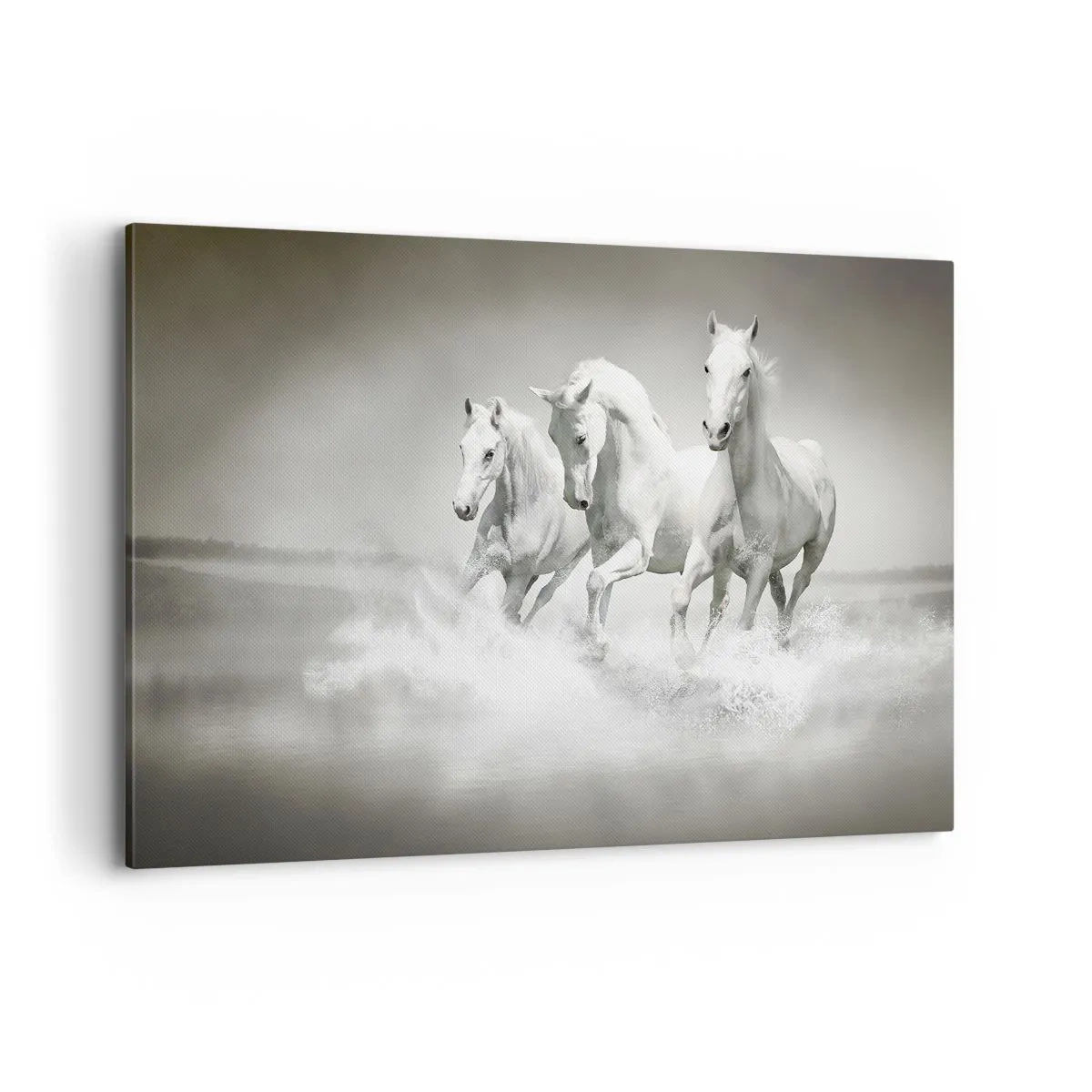 Quadro em tela - Loucura branca - 120x80 cm