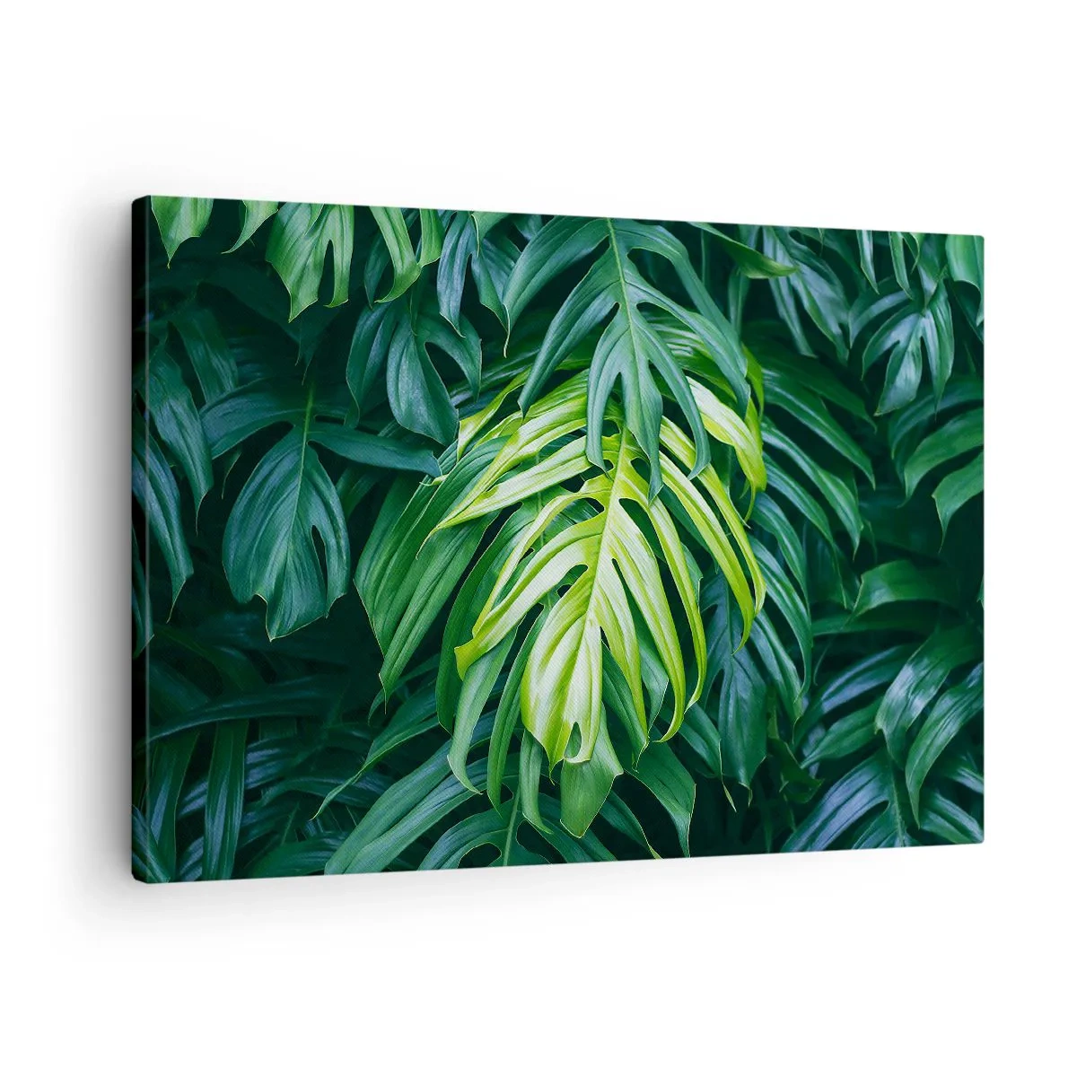 Quadro em tela - Folhas verdes em um arranjo tropical denso - 70x50cm - Mergulhar no frescor - Decoração de parede moderna para a sala de estar e quarto ARTTOR