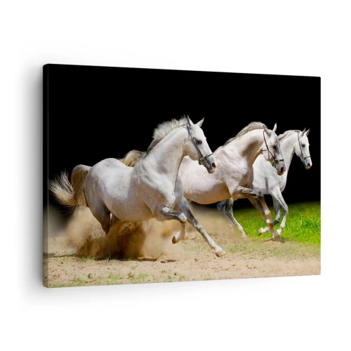 Quadro em tela - Três cavalos brancos galopando pela areia e grama - 70x50cm - Três Graças - Decoração de parede moderna para a sala de estar e quarto ARTTOR