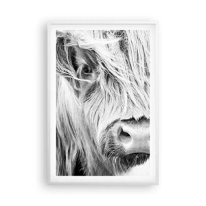 Pôster em moldura branca - Natureza selvagem escocesa - 61x91 cm