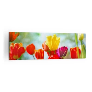 Quadro em tela - Todas as cores do sol - 160x50 cm