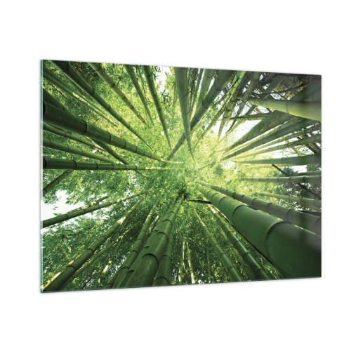 Quadro em vidro - Em um bosque de bambu - 100x70 cm
