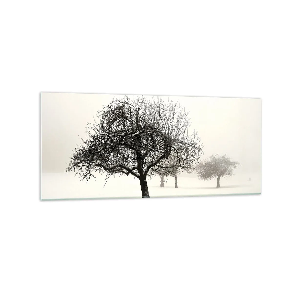 Quadro em vidro - Sono de inverno - 120x50 cm