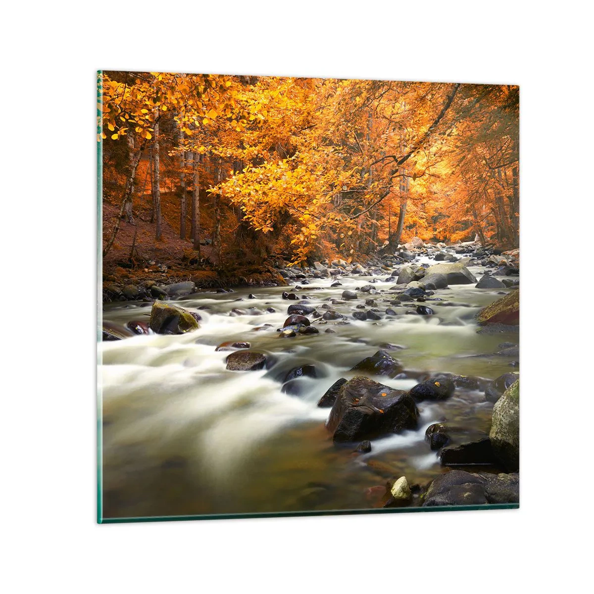 Quadro em vidro - Um riacho na floresta dourada - 30x30 cm