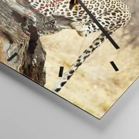 Mostrador com traços