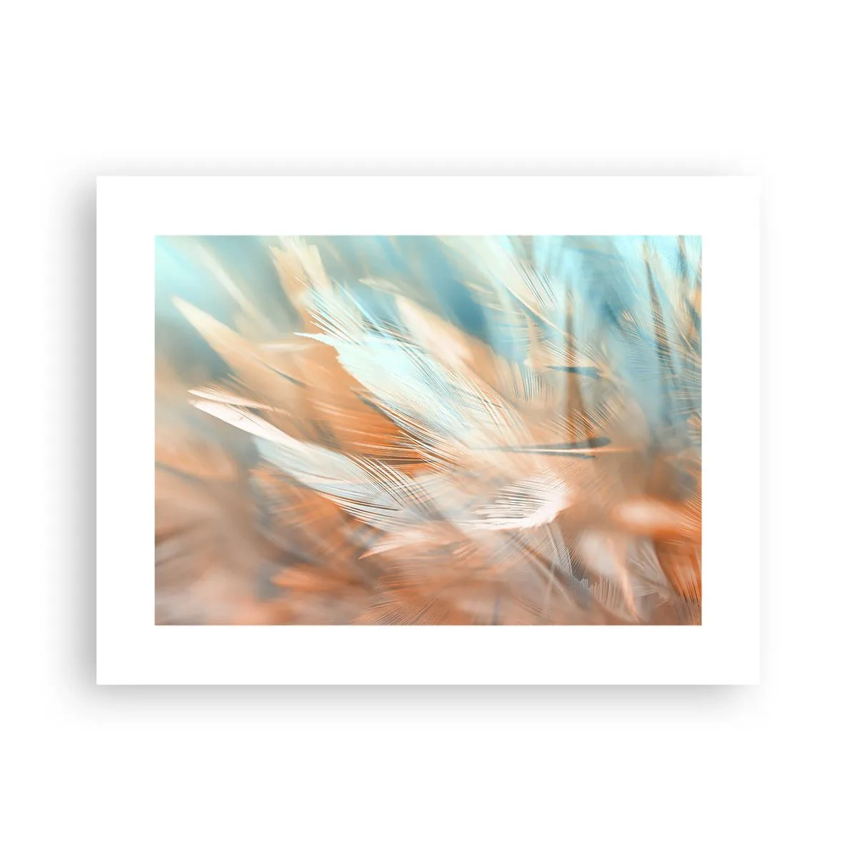 Pôster - Na terra da gentileza - 40x30 cm