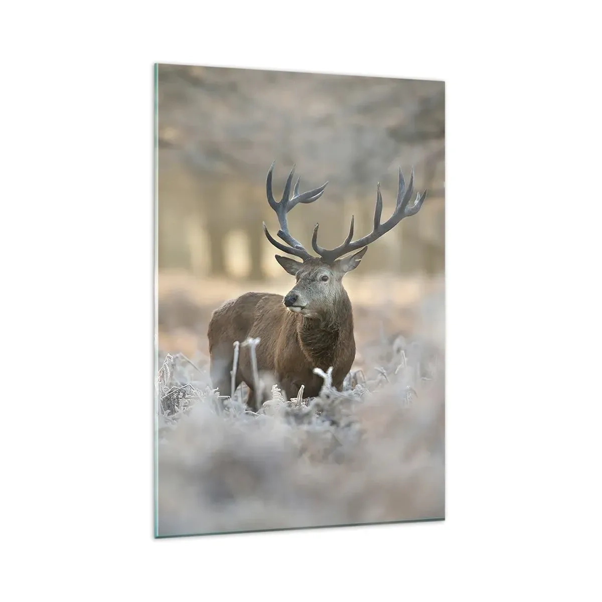 Quadro em vidro - Uma manhã fresca - 80x120 cm