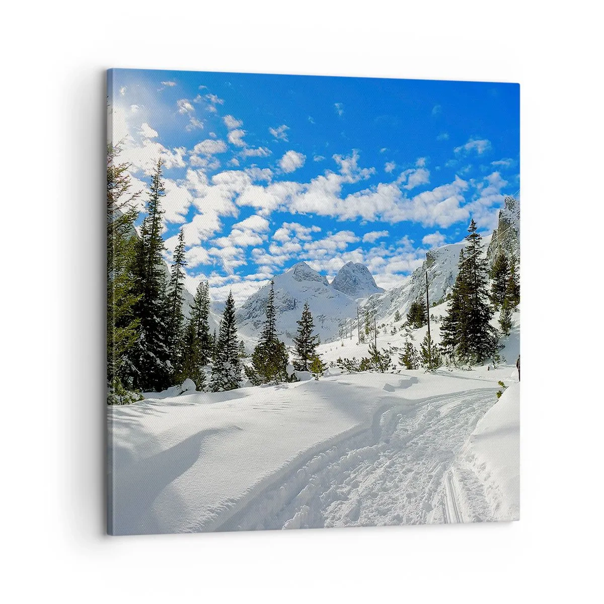 Quadro em tela - Na neve e ao sol - 60x60 cm
