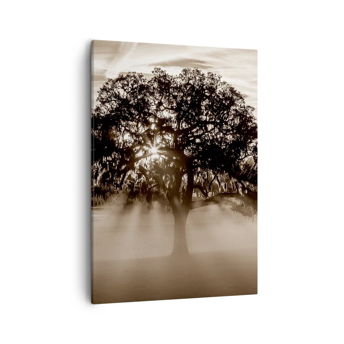 Quadro em tela - Uma árvore só de boas notícias - 50x70 cm