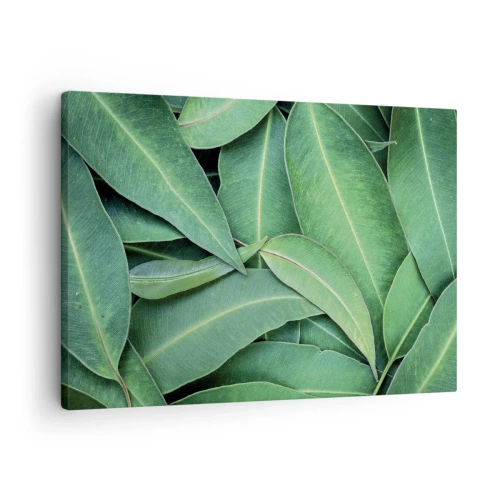 Quadro em tela - Close-up de folhas verdes criando um padrão natural - 70x50cm - Suculentas e frescas - Decoração de parede moderna para a sala de estar e quarto ARTTOR