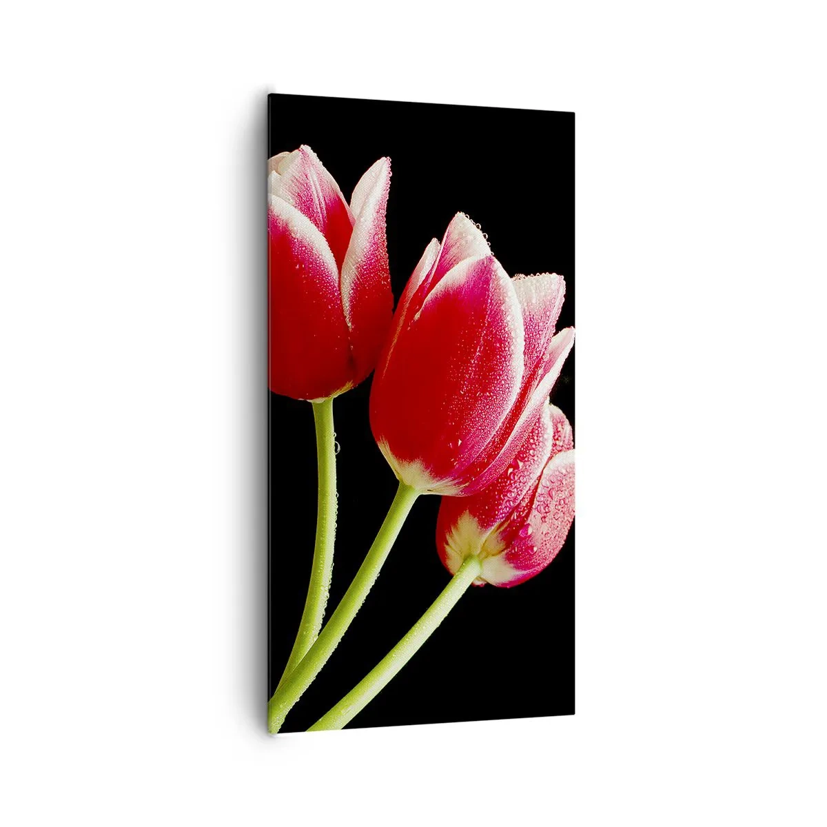 Quadro em tela - A promessa do amor puro - 65x120 cm