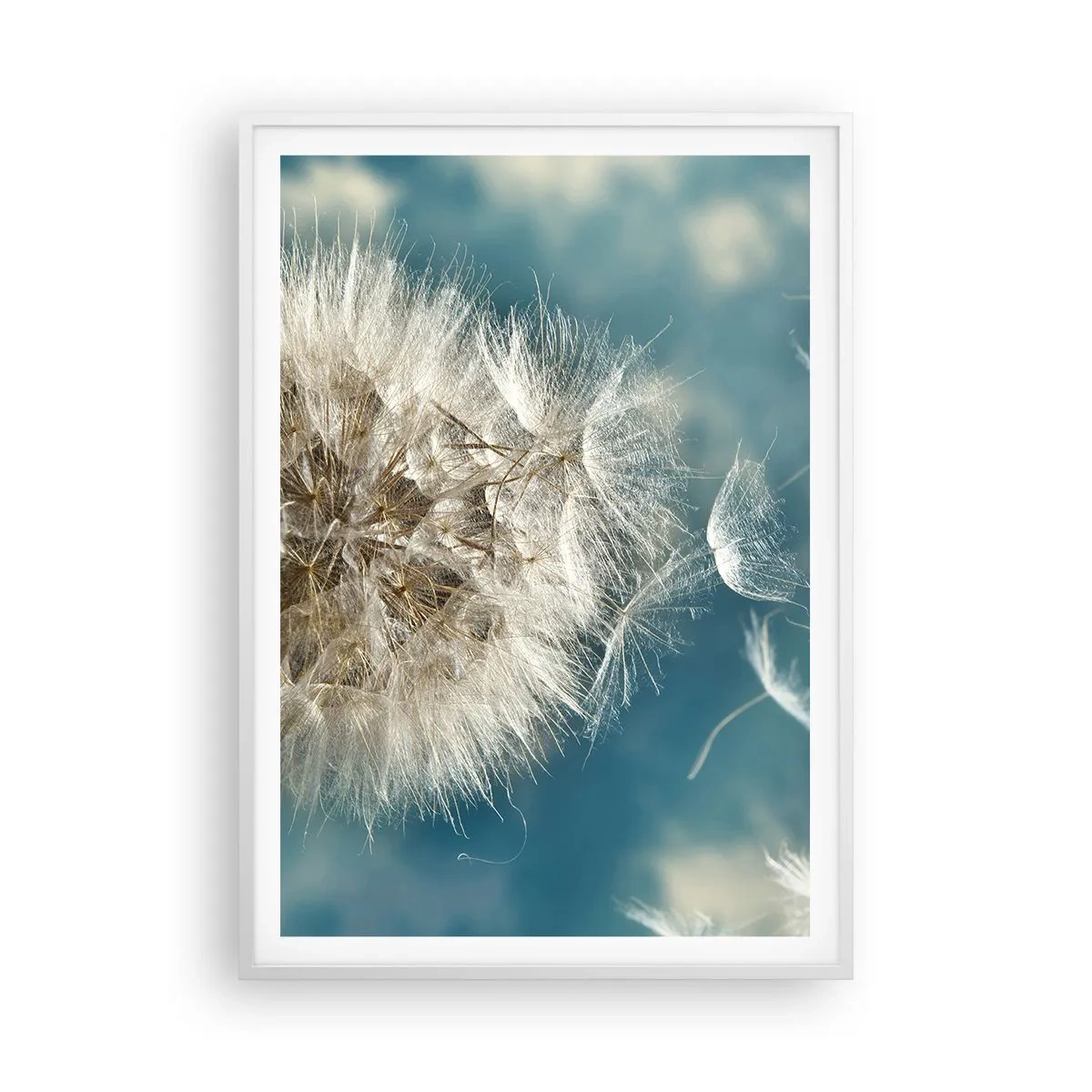 Pôster em moldura branca - Respiração de um anjo - 70x100 cm