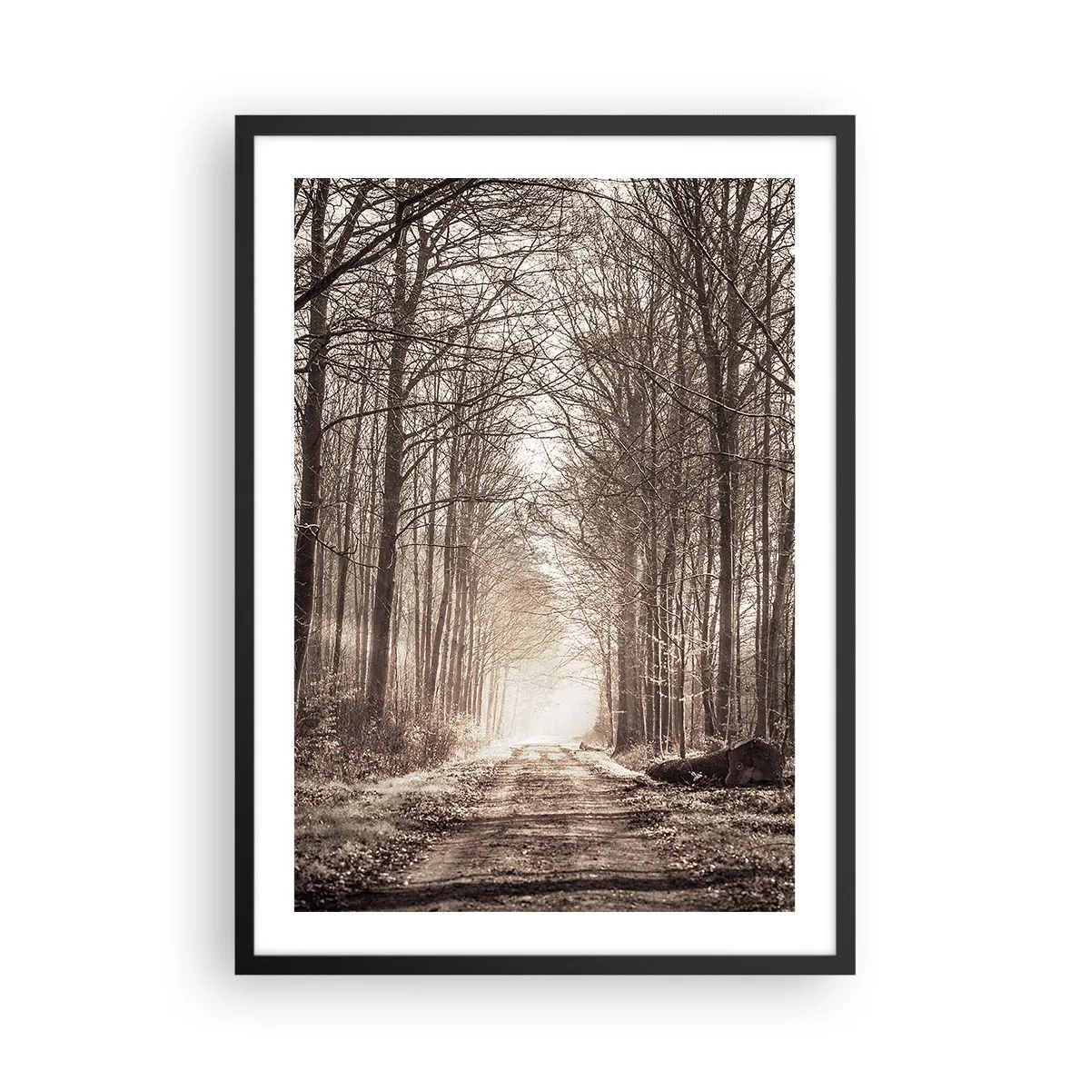 Pôster com moldura preta - Um caminho na floresta em tons sépia outonais - 50x70cm - Catedral na Floresta - Decoração de parede moderna para a sala de estar e quarto ARTTOR