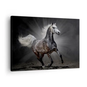Quadro em tela - Um cavalo branco galopando contra um fundo escuro - 70x50cm - O cinza é lindo - Decoração de parede moderna para a sala de estar e quarto ARTTOR