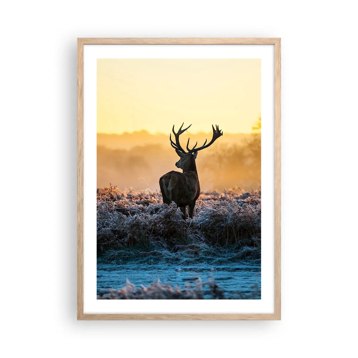 Pôster com moldura de carvalho claro - Coroado em sua terra - 50x70 cm