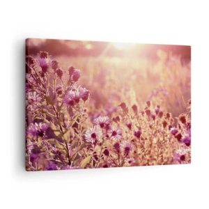 Quadro em tela - Prado à luz do pôr do sol - 70x50cm - Antes do verão acabar - Decoração de parede moderna para a sala de estar e quarto ARTTOR
