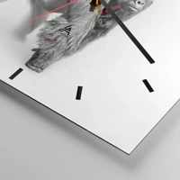 Mostrador com traços