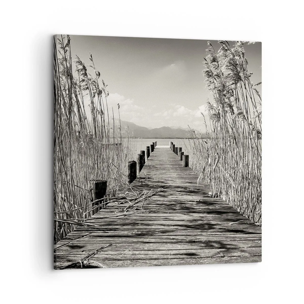 Quadro em tela - No silêncio da relva - 50x50 cm