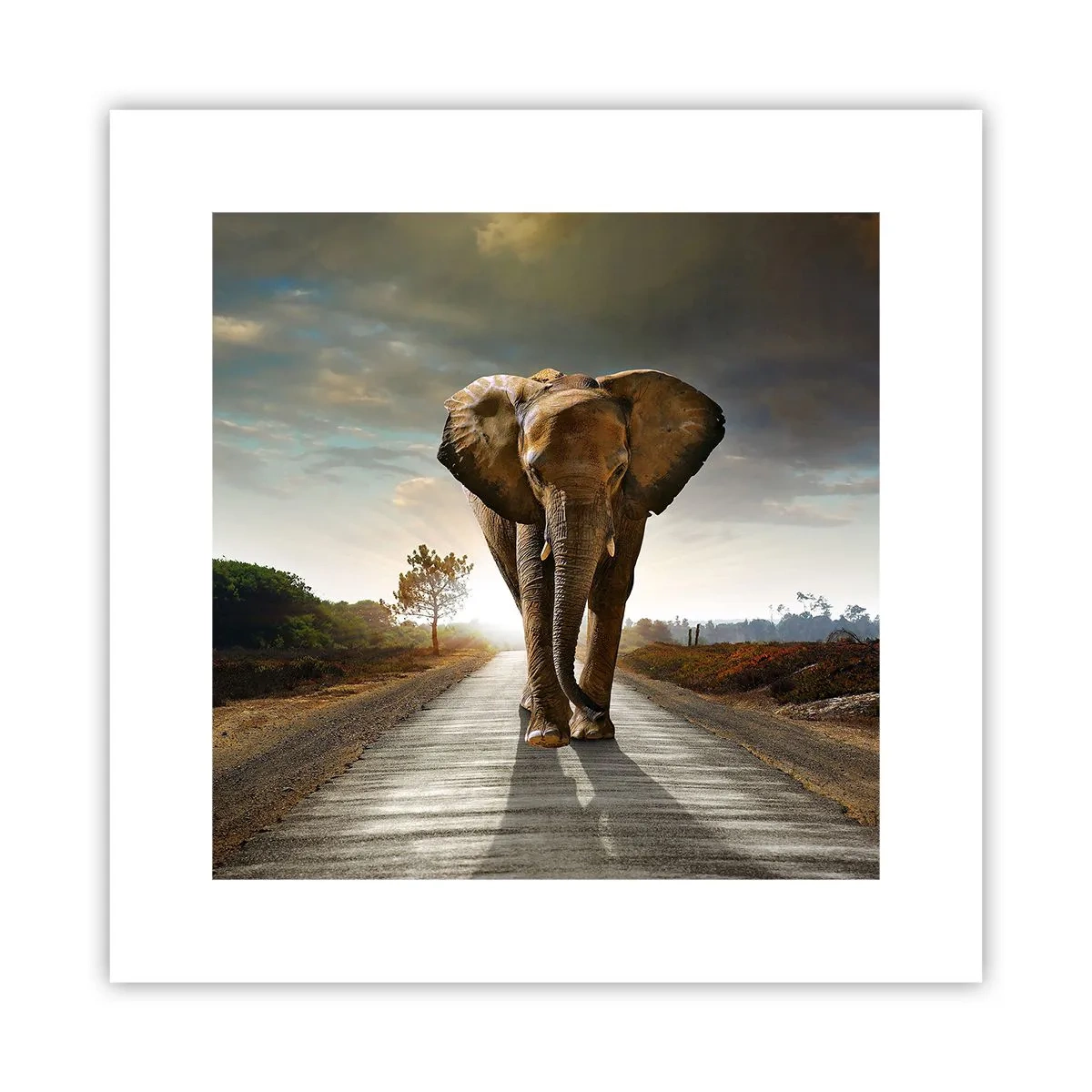 Pôster - Não faz parte da composição da porcela - 30x30 cm