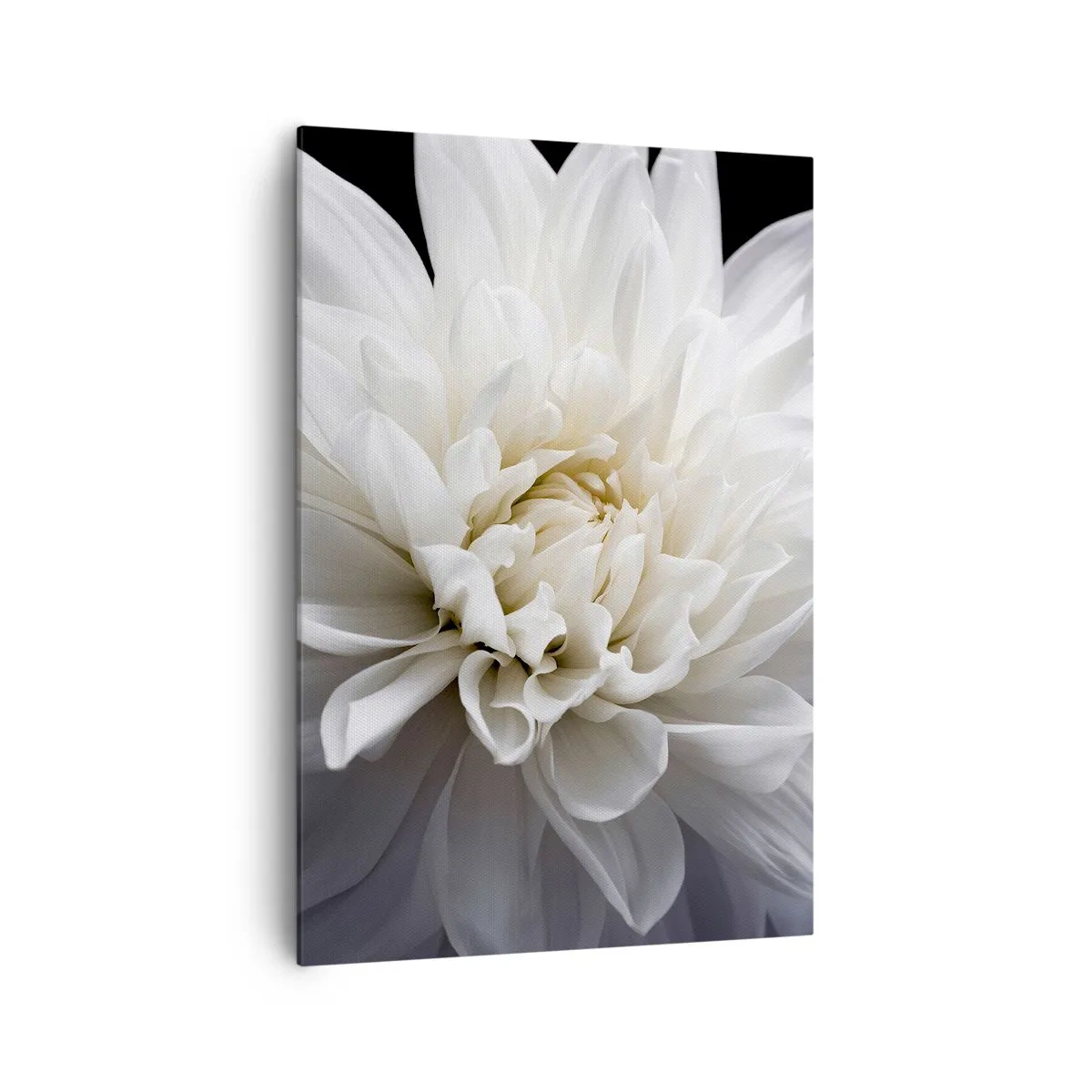 Quadro em tela - Manhã da noiva - 70x100 cm