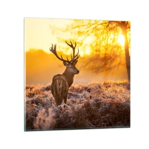 Quadro em vidro - Rei da floresta de outono - 60x60 cm