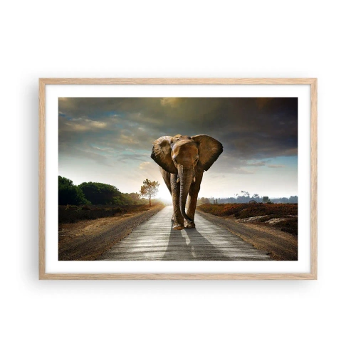 Pôster com moldura de carvalho claro - Não faz parte da composição da porcela - 70x50 cm