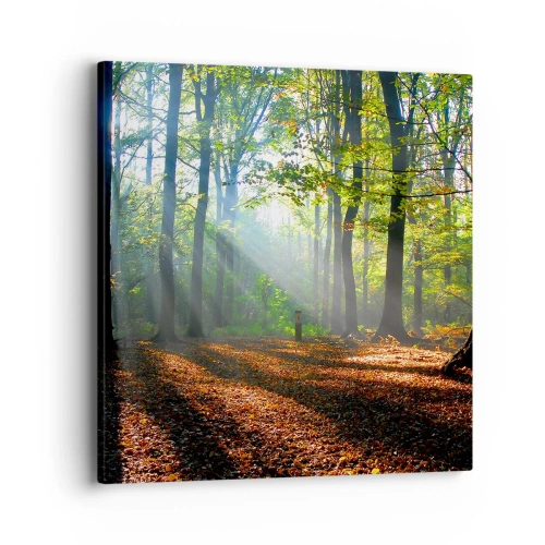 Quadro em tela - Luzes e sombras - 40x40 cm