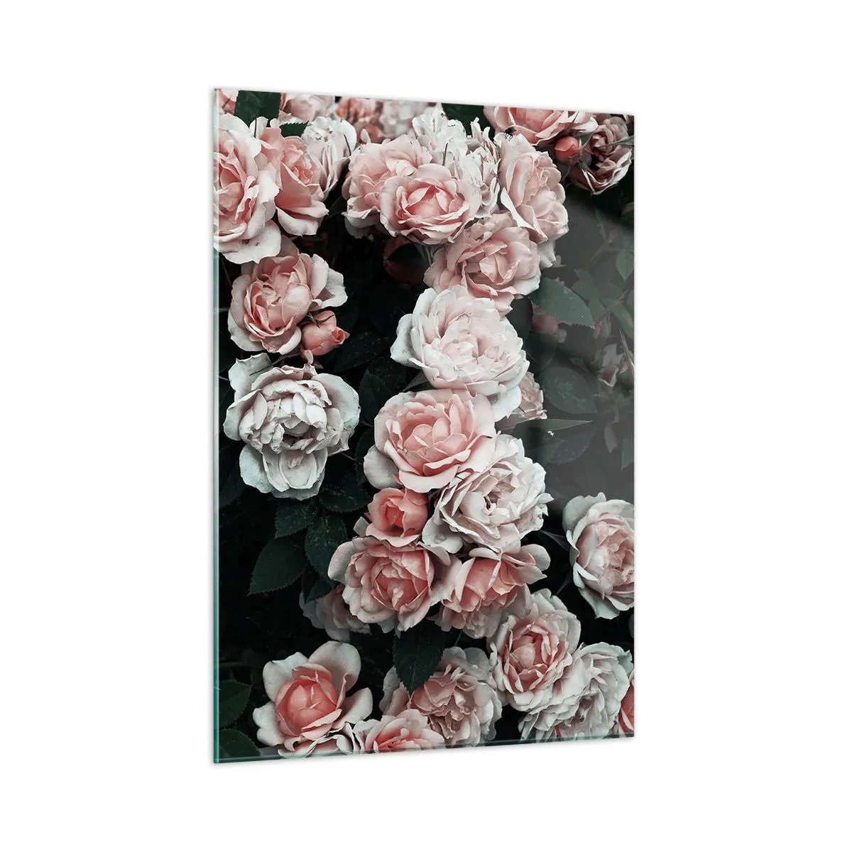 Quadro em vidro - Conjuntos de rosas - 50x70 cm